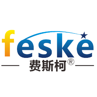 广东费斯柯自动化科技有限公司